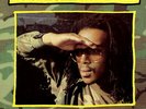 Raymond Naptali-Trouble possee rub-a-dub toasting reggae dancehall soundsystem