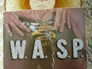W.A.S.P. ? 