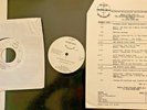 RADIO SHOW 12/21/87 MUSIC VIEW LP & CD: MOJO NIXON HOST, THE ALARM,FEAR,NILS,SSD
