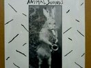 SAM PHIPPS Animal Sounds LP 1981 Oingo Boingo SEALED  Private Free Jazz