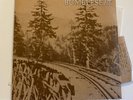 RUMBLESEAT TRESTLES/RESTLESS 7” (NO IDEA 2000) 1st PRESS GREEN VINYL 934 MADE