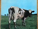 PINK FLOYD - ATOM HEART MOTHER LP - Harvest Records  - Lovingly Preowned