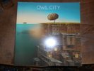 Owl City 