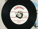 Don Buck 45 Three Cheers for the Loser 1964 Minnesota Country VG++