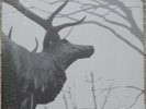 Agalloch – The Mantle 2x LP Clear (Grau)- Alcest- Wolves in the Throne Room- Fen