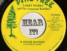 OH Banjo Bopper 45 LARRY SPARKS & THE LONESOME RAMBLERS Loving PINE TREE hear