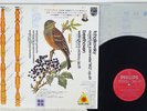 DORATI TCHAIKOVSKY 1812 PHILIPS FH-7 Japan AUDIOPHILE VINYL LP