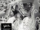 Bjork - Vespertine  - 180 Gram Double Vinyl Records in a Gatefold Jacket NEW