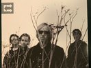Tom Petty Echo Vinyl LP New Free Ship