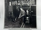 Halestorm - Into The Wild Life Vinyl Record LP