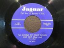 RARE  Rockabilly - Les Vote- I'm Gonna Sit Right Down And Cry Over You -PROWLERS