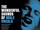 ANALOGUE PRODUCTIONS APP-131 THE WONDERFUL SOUNDS OF MALE VOCALS 2LP