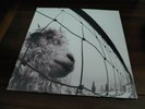 Pearl Jam -  Pearl Jam VS - Vinyl Record LP