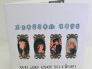 BLOSSOM TOES ‘We Are Ever So Clean’ 2007 Double Vinyl LP On Sunbeam   - S57