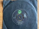 Psych / Freakbeat - HOUSE OF LORDS - In The Land Of Dreams - B&C DEMO CB112 EX-