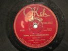 BLUES TEXAS ALEXANDER Range In My Kitchen Blues OKEH 8526 V-G+