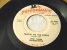 Jimmy Simms Thunderbirds Twistin' on the Beach 45 beautiful killer rockabilly