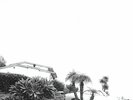 Timber Timbre - Hot Dreams / Vinyl LP limited edition on CLEAR presale