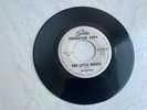 Rare Rockabilly '45  The Velvetones 