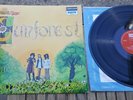 SUNFOREST SOUND OF SUNFOREST '69 UK DERAM NOVA RARE 1ST PRESS PSYCH/ROCK GEM VG+