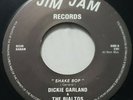 DICKIE GARLAND & THE RIALTOS - SHAKE BOP / BREAKIN RARE REPRO 7