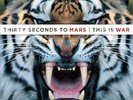 This Is War * [LP] by 30 Seconds to Mars (Vinyl, Dec-2009, 2 Discs, Virgin Recor