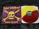 Teenage Bottlerocket - Stealing The Covers LP punk rock nofx ramones flatliners