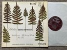 SABL 195 Sibelius Violin Concerto / David Oistrakh HI-FI STEREO