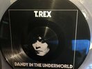 T.Rex Dandy in the Underworld Picture Disc Vinyl LP VGC