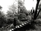 Timber Timbre - Timber Timbre / Vinyl LP limited edition on CLEAR
