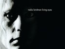 RADIO BIRDMAN - LIVING EYES (ROCKFIELD VERSION) NEW VINYL