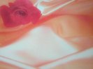 The Isley Brothers ?– Between The Sheets LP