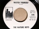 The Nature Boys UPTOWN 725 WHITE LABEL PROMO M- 