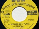 THE CHEROKEES: A WONDROUS PLACE / SEVEN DAFFODILS - 1965 GARAGE PROMO 45rpm
