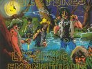 FUZZTONES, The - Lysergic Emanations (40th Anniversary Edition) (remastered)
