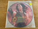 THE HUNGER GAMES Catching Fire 2x LP Vinyl Picture Disc(s) NEW/Unplayed