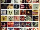 Pearl Jam - No Code Vinyl LP (White) + Polaroids Like New