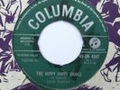 CHAN ROMERO The Hippy Hippy Shake RARE UK 45-DB 4341 (Beatles etc.) JR/JR DEMO