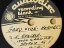 Unreleased Gary & The Hornets Acetates - Garage Kiddie Rock Pop Surf Audiodisc