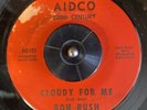 Ron Rush - Cloudy For Me / Cold Man - Aidco - RARE NORTHERN SOUL 45 San Diego