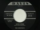 Doo-Wop 45 - Chestnuts - Love Is True/It's You I Love - Davis - VG+ mp3