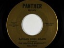 Garage Psych 45 - Invisible Burgundy Bullfrog - Batman Rides - Panther - NM mp3