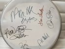 The Turtle's Signed Drum Head with Cert. of Authenticity