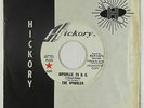 Garage Fuzz 45 - Sparkles - Hipsville 29 B.C. - Hickory - mp3