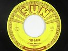 Garage 45 - Randy & the Radiants - Peek-A-Boo - Sun - mp3