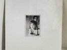 GIMMER NICHOLSON: Christopher Idylls LP - Sealed - RARE  free shipping