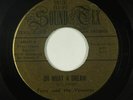 Teen 45 - Terry & the Venturas - Oh What A Dream - Sound Tex - mp3 - obscure