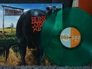Blink 182 Dude Ranch Rare SRC Translucent Green Colored Vinyl Album LP OOP