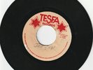 DIGI ROOTS KILLER TESFA LABEL UNKNOWN VOCAL 
