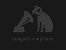 The Birthday Party - Junkyard Vinyl 12